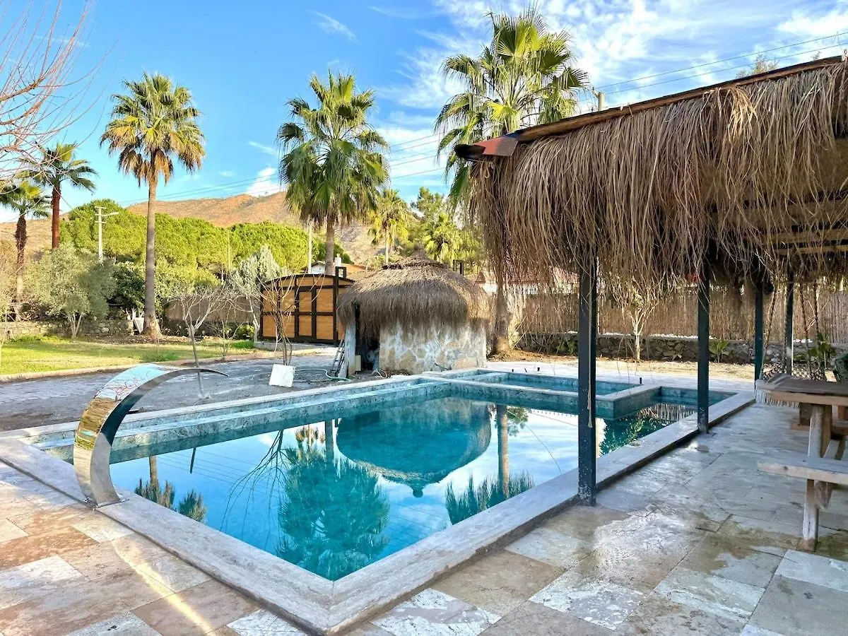 Villa With Hot Pool In Marmaris