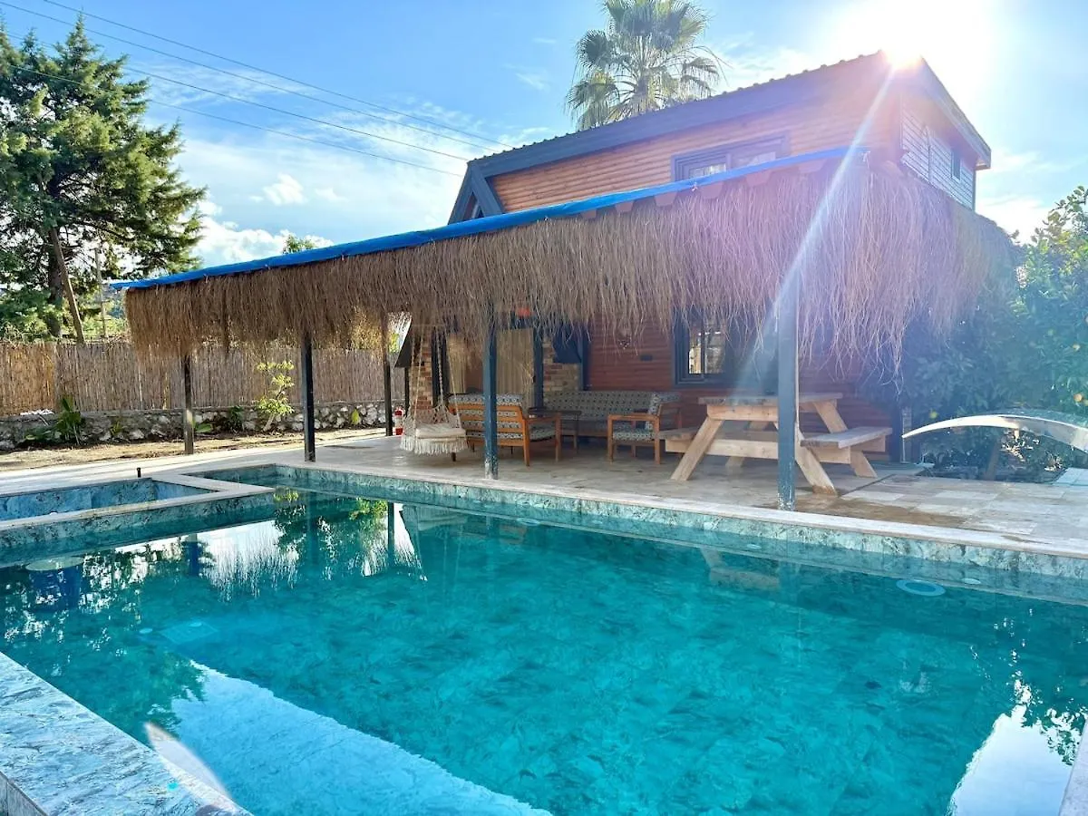 Villa With Hot Pool In Marmaris