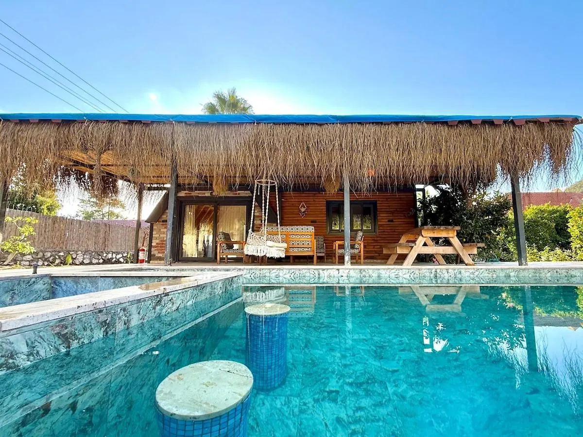 Villa With Hot Pool In Marmaris