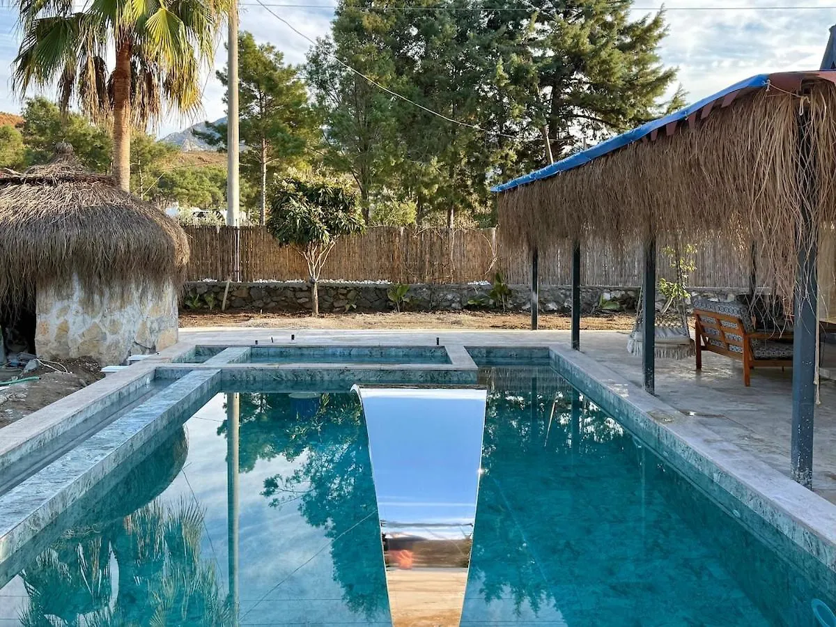 Villa With Hot Pool In Marmaris