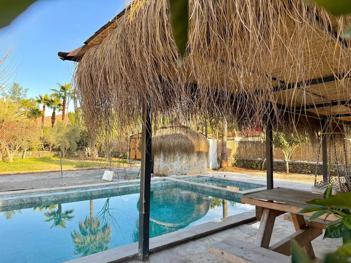 Villa With Hot Pool In Marmaris