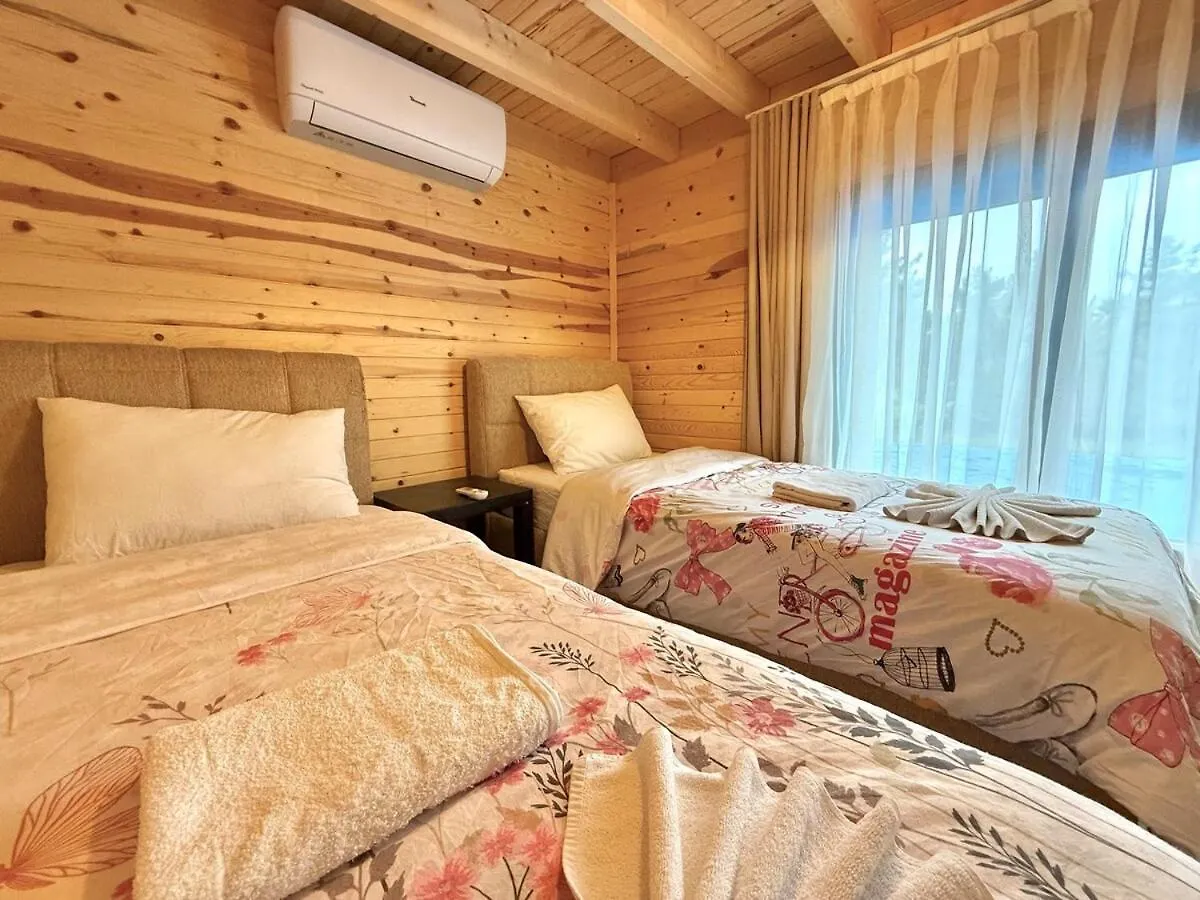 Villa With Hot Pool In Marmaris