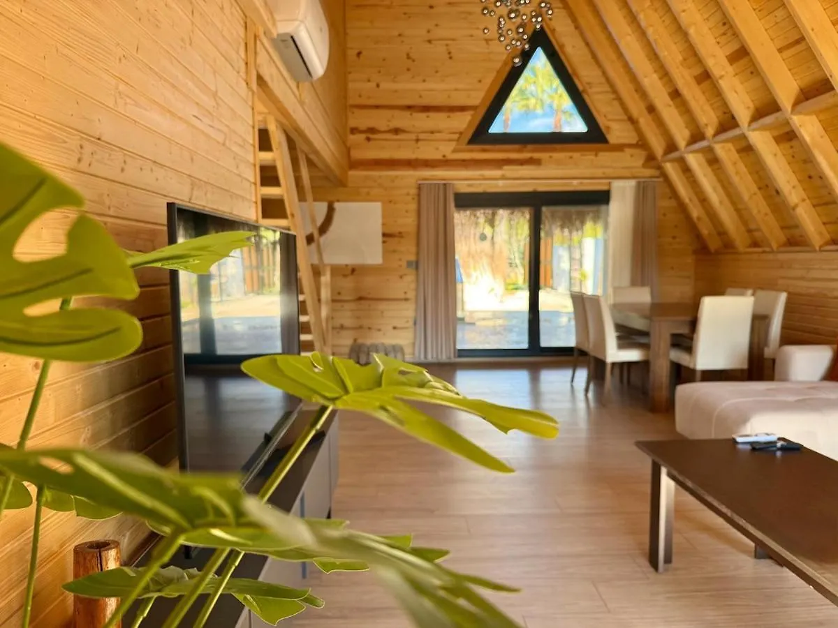 Villa With Hot Pool In Marmaris