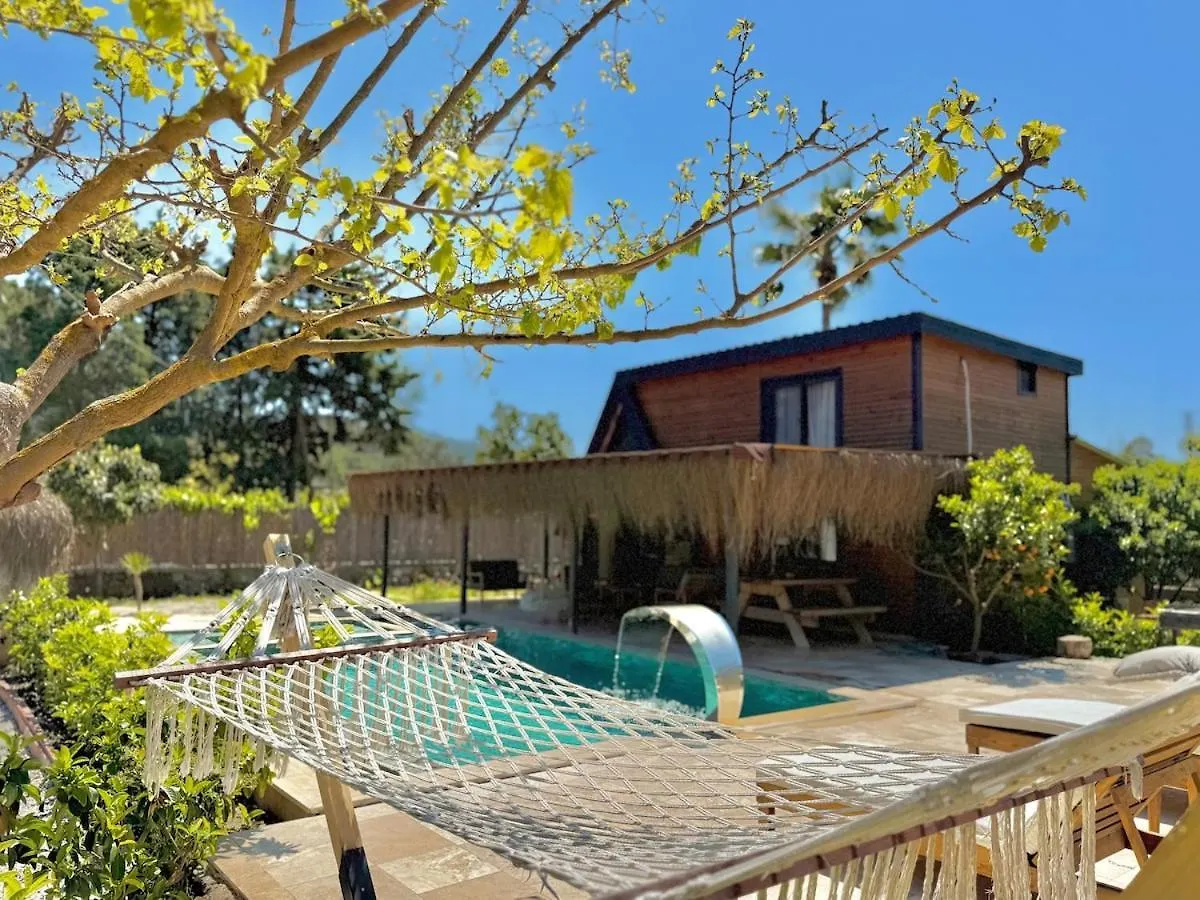 Villa With Hot Pool In Marmaris