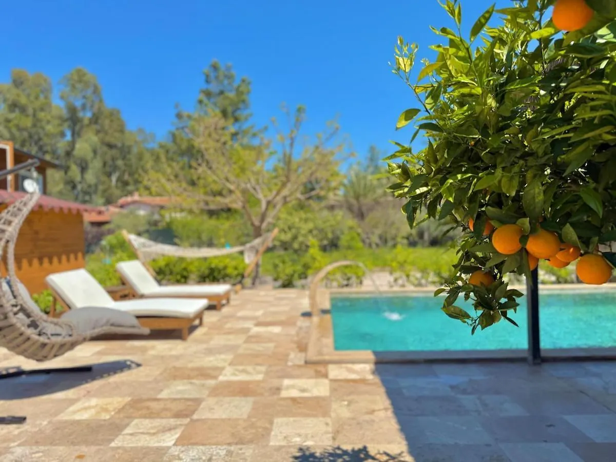 Villa With Hot Pool In Marmaris