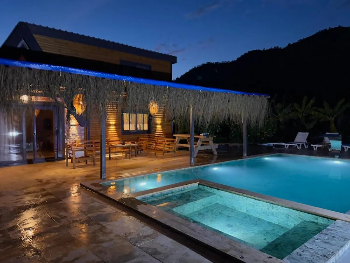 Villa With Hot Pool In Marmaris