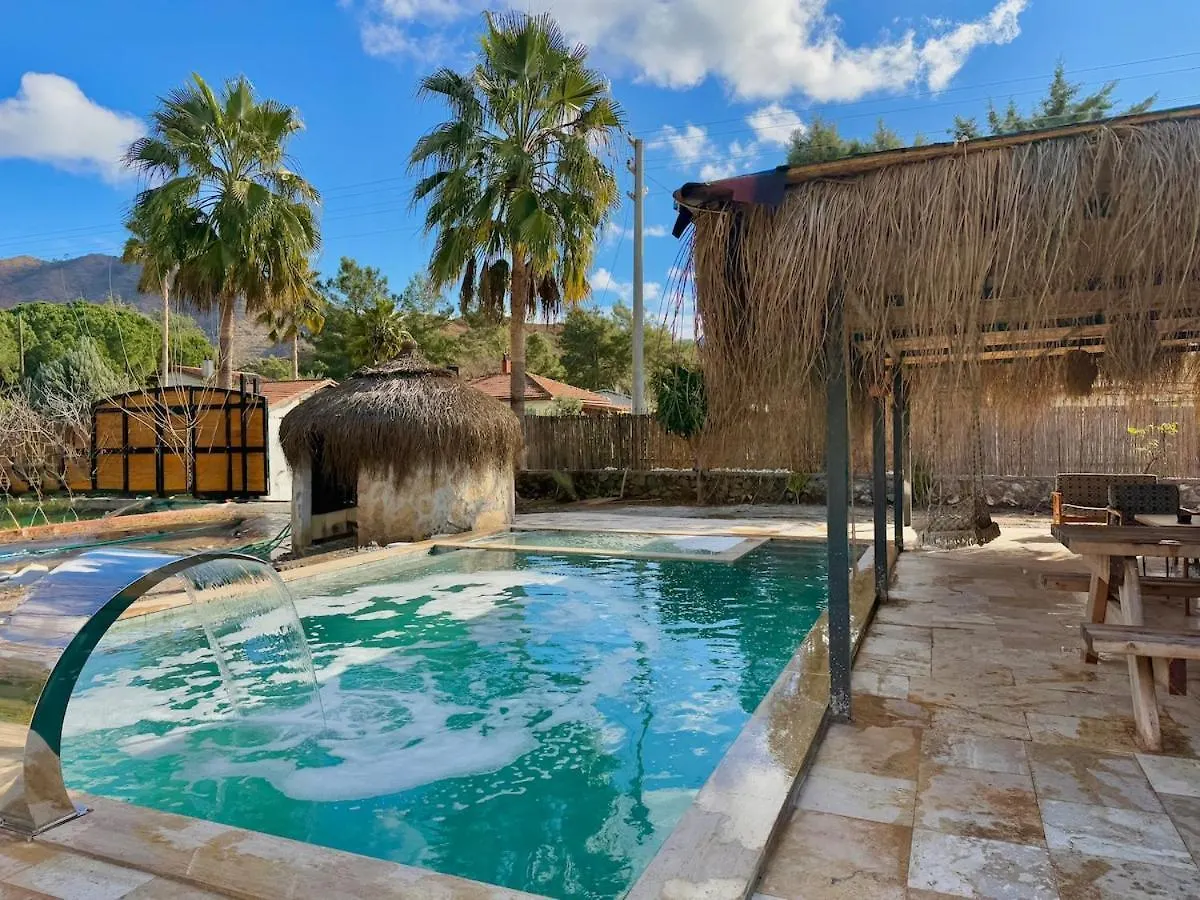Villa With Hot Pool In Marmaris