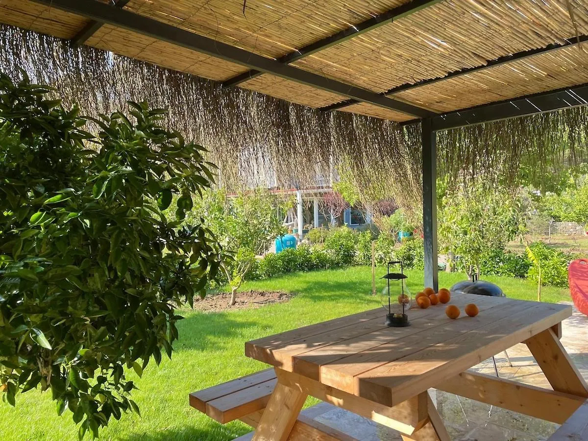 Villa With Hot Pool In Marmaris