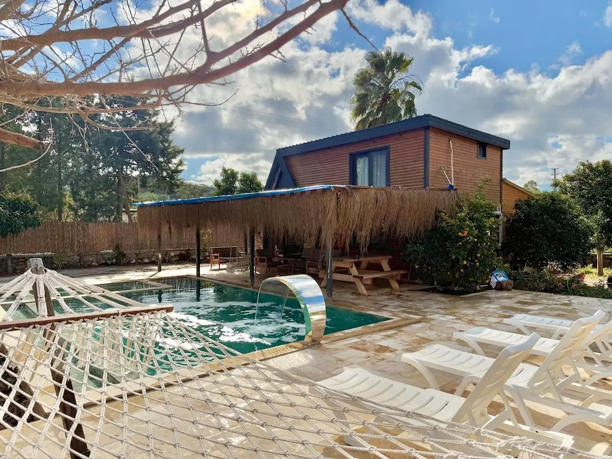 Villa With Hot Pool In 马尔马里斯