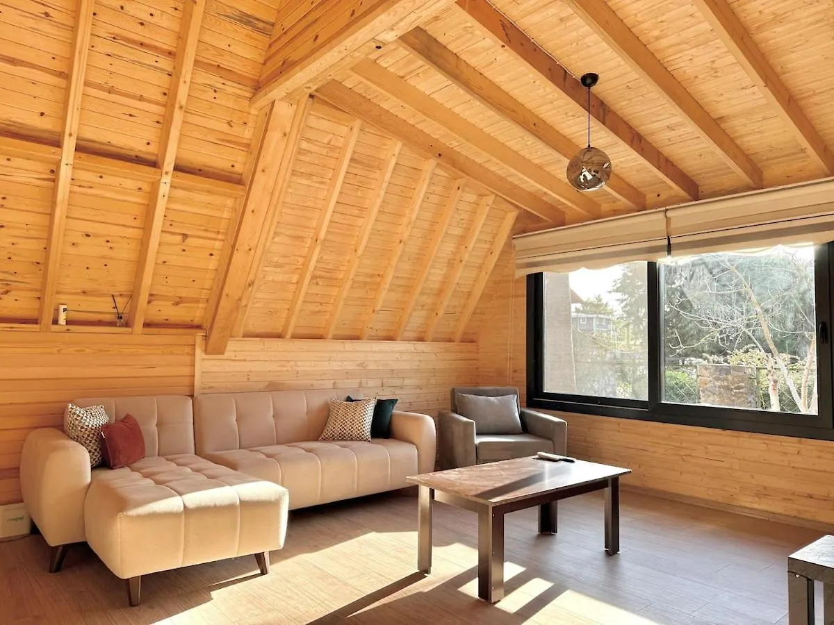 Villa With Hot Pool In 马尔马里斯 0*,  土耳其