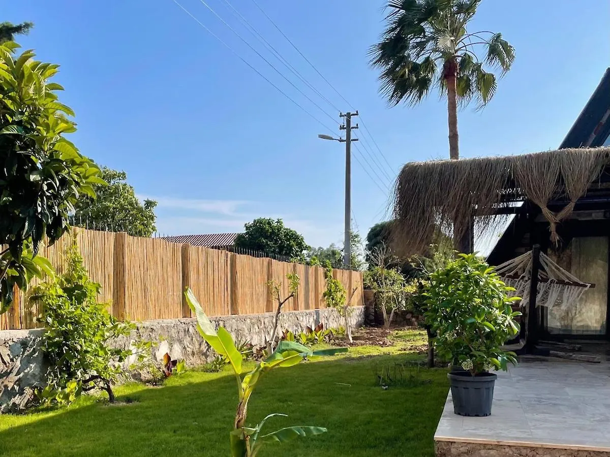 Villa With Hot Pool In 马尔马里斯