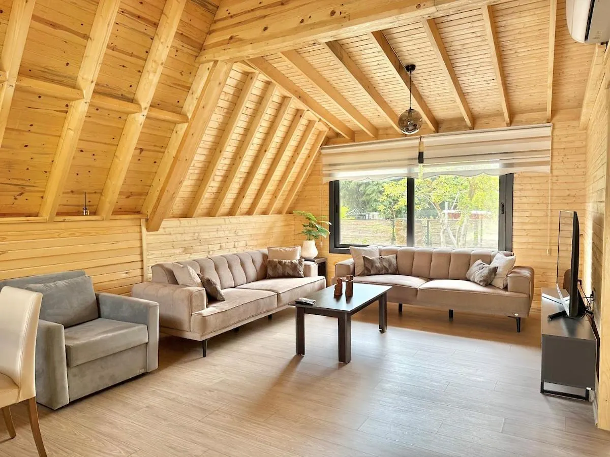 Villa With Hot Pool In 马尔马里斯