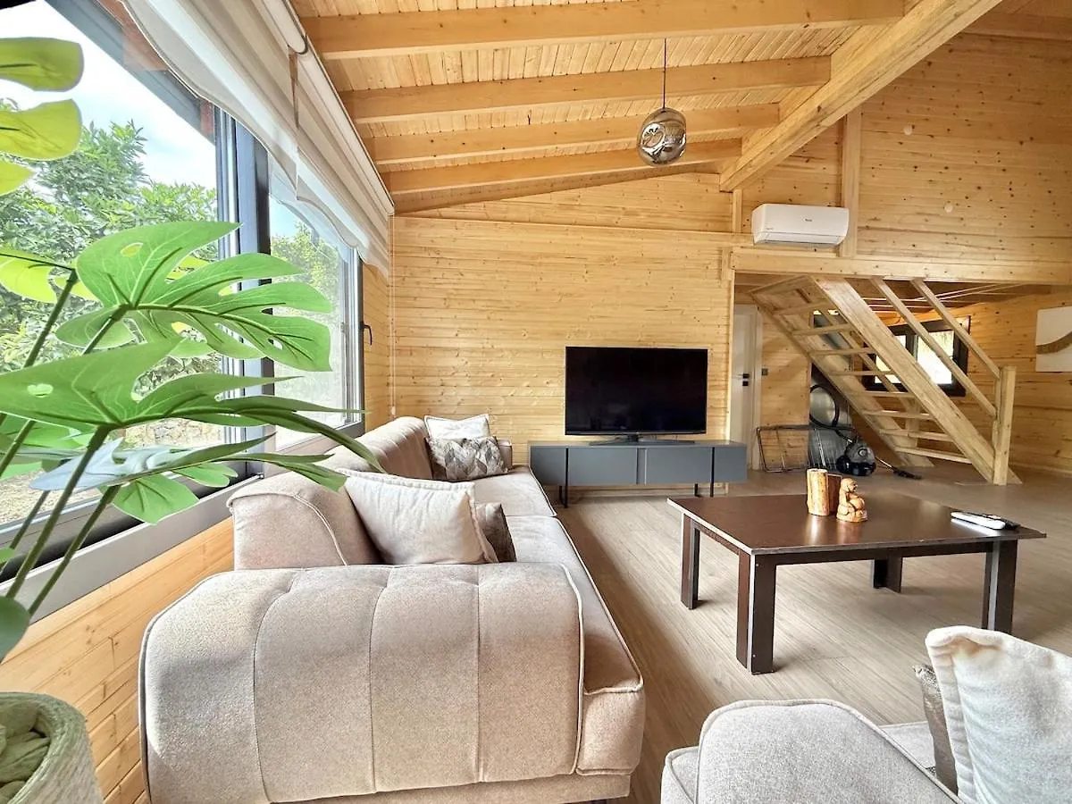 Villa With Hot Pool In 马尔马里斯